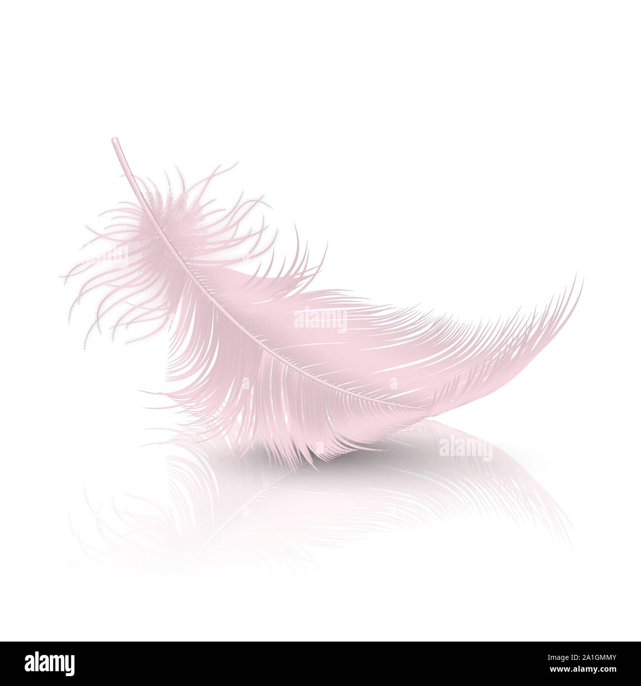 Vector3d realistisch Fallende rosa Flamingo flauschige Twirled Feder mit Reflexion Closeup isoliert auf weißem Hintergrund. Design Template, Clipart von Stock Vektor