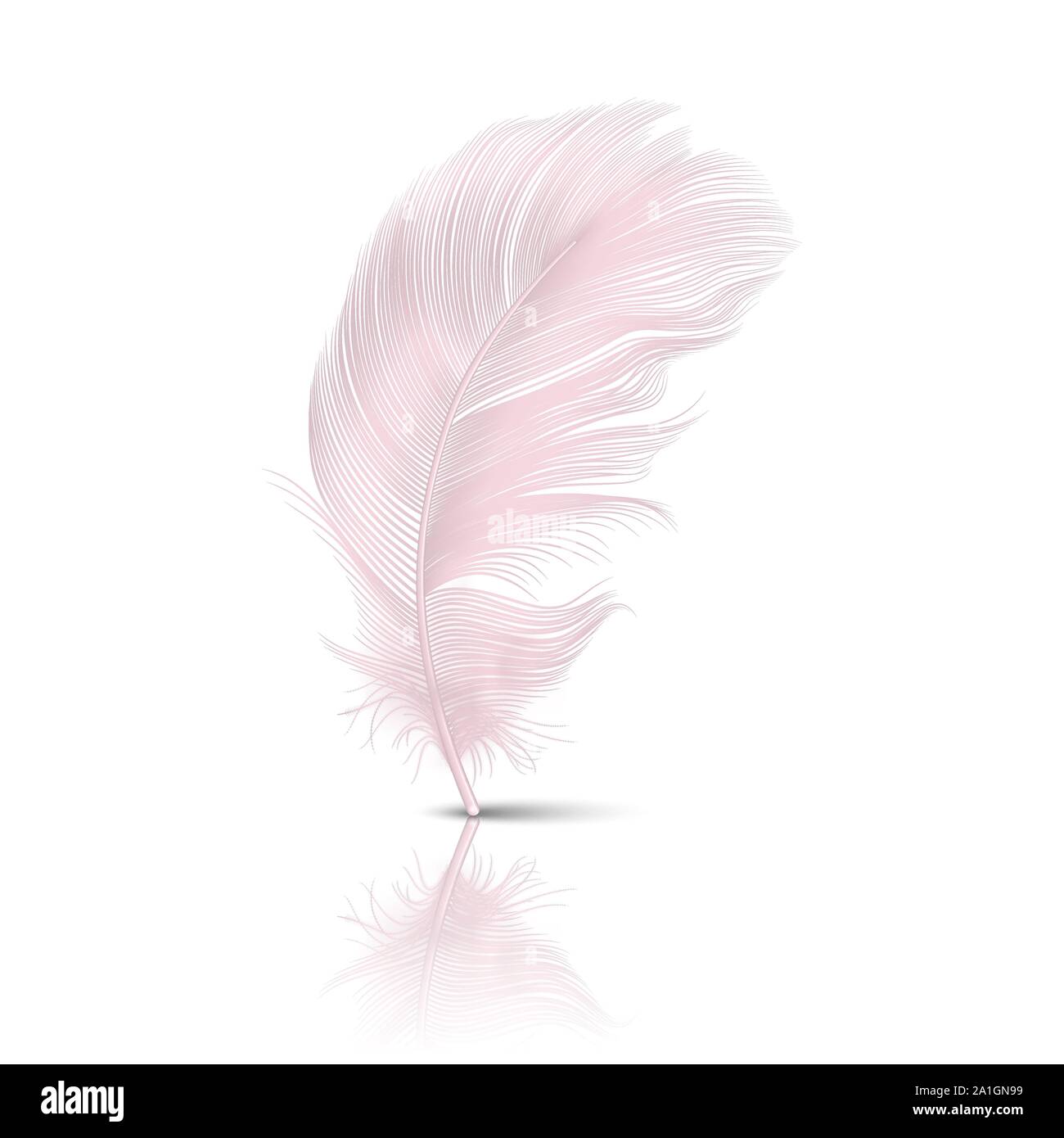 Vector3d realistisch Fallende rosa Flamingo flauschige Twirled Feder mit Reflexion Closeup isoliert auf weißem Hintergrund. Design Template, Clipart von Stock Vektor