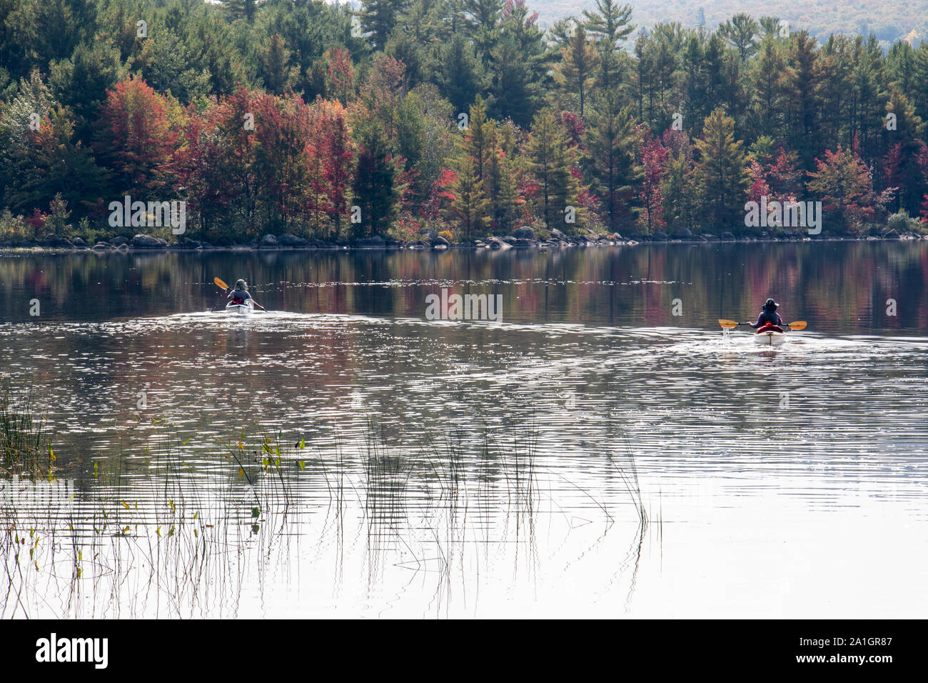 Paddler in der Ferne auf Grand See auf einem sanft beleuchtet Herbst morgen Stockfoto