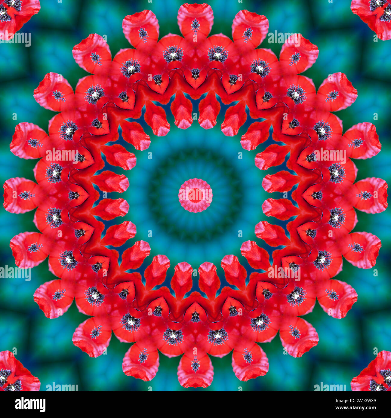 Florale kaleidoskopartige Muster. Blume geometrische Verzierung. Mandala. Zusammenfassung Hintergrund Stockfoto