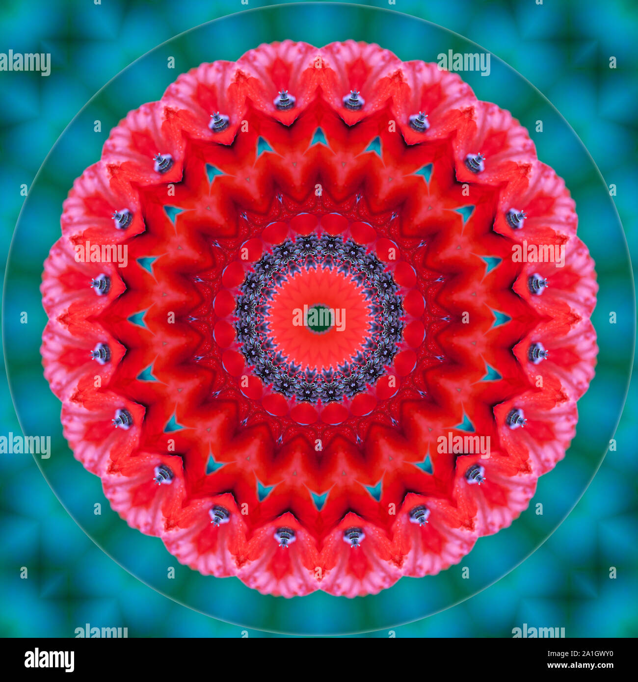 Florale kaleidoskopartige Muster. Blume geometrische Verzierung. Mandala. Zusammenfassung Hintergrund Stockfoto