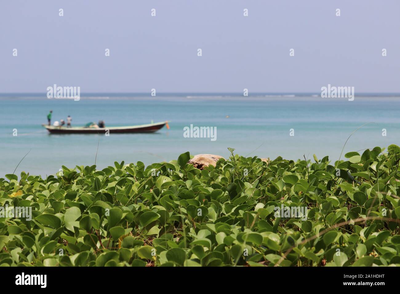 Tropical Beach, malerische Aussicht auf grüne Pflanzen und blaues Meer mit Fischerboot, selektiver Fokus Stockfoto