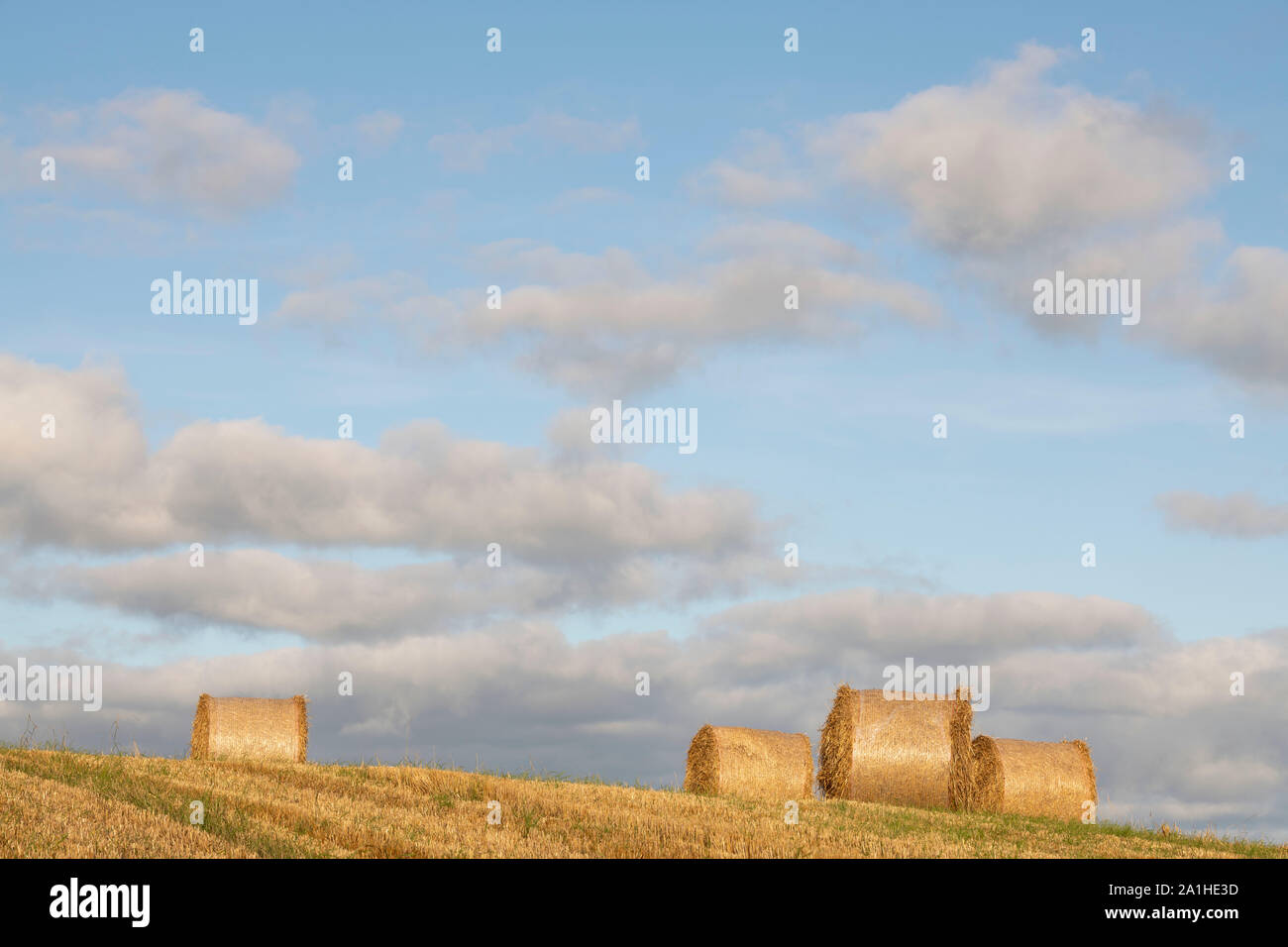 Strohballen auf dem Feld liegend auf einem Hügel am späten Nachmittag Sonnenschein mit Cumulus Wolken Stockfoto