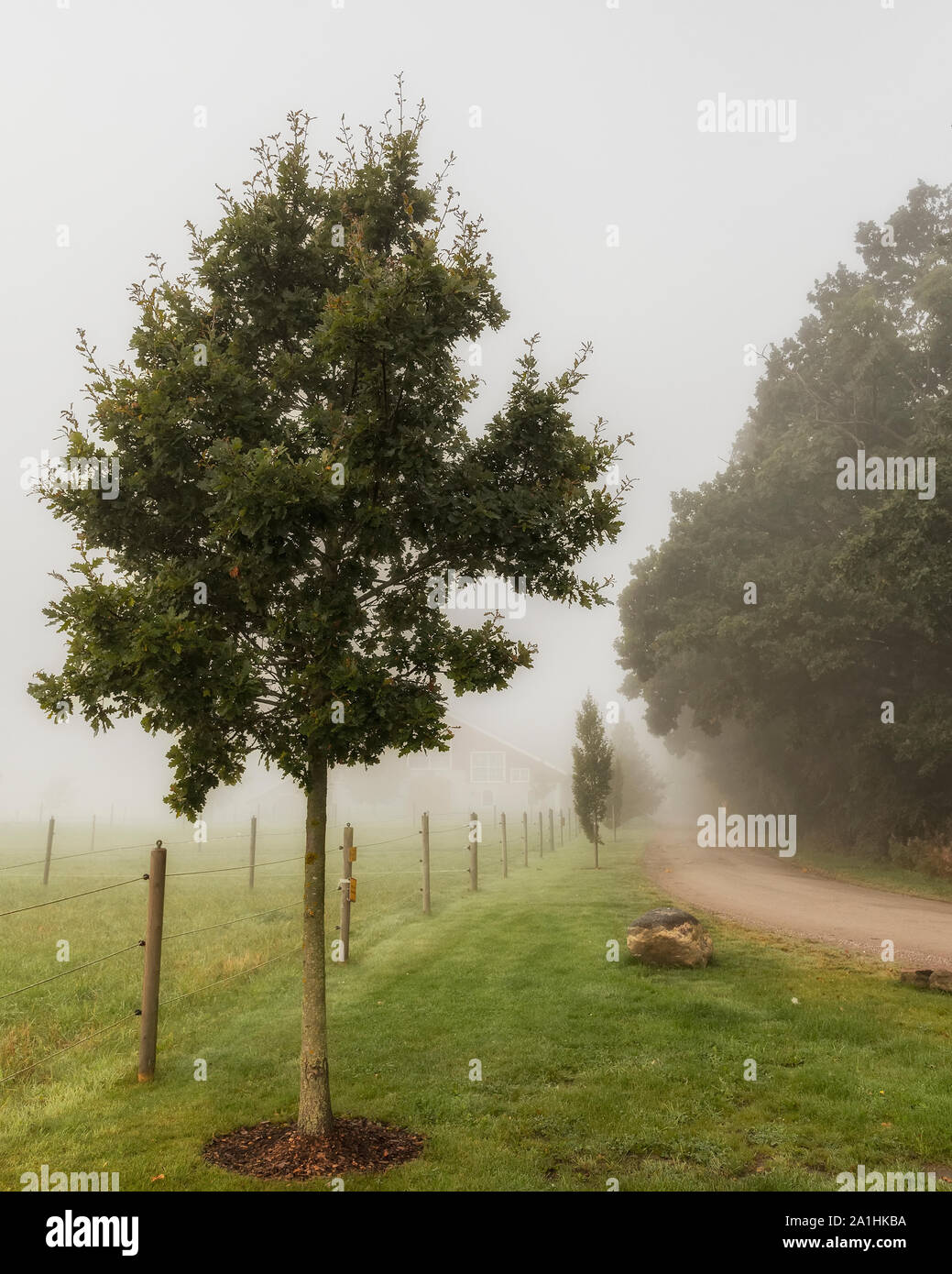 Eine schöne nebeliger Morgen auf Ackerland in der Nähe von Helsingborg in Schweden - Stockfoto