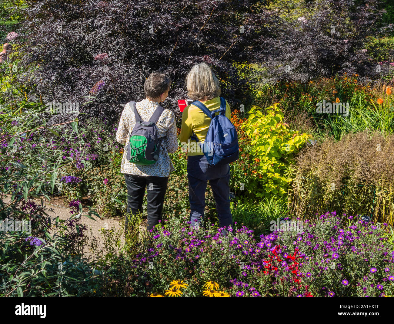 Rosemoor Garten mit zwei Damen, die mit einem Smart Phone, Devon, England, UK. Stockfoto