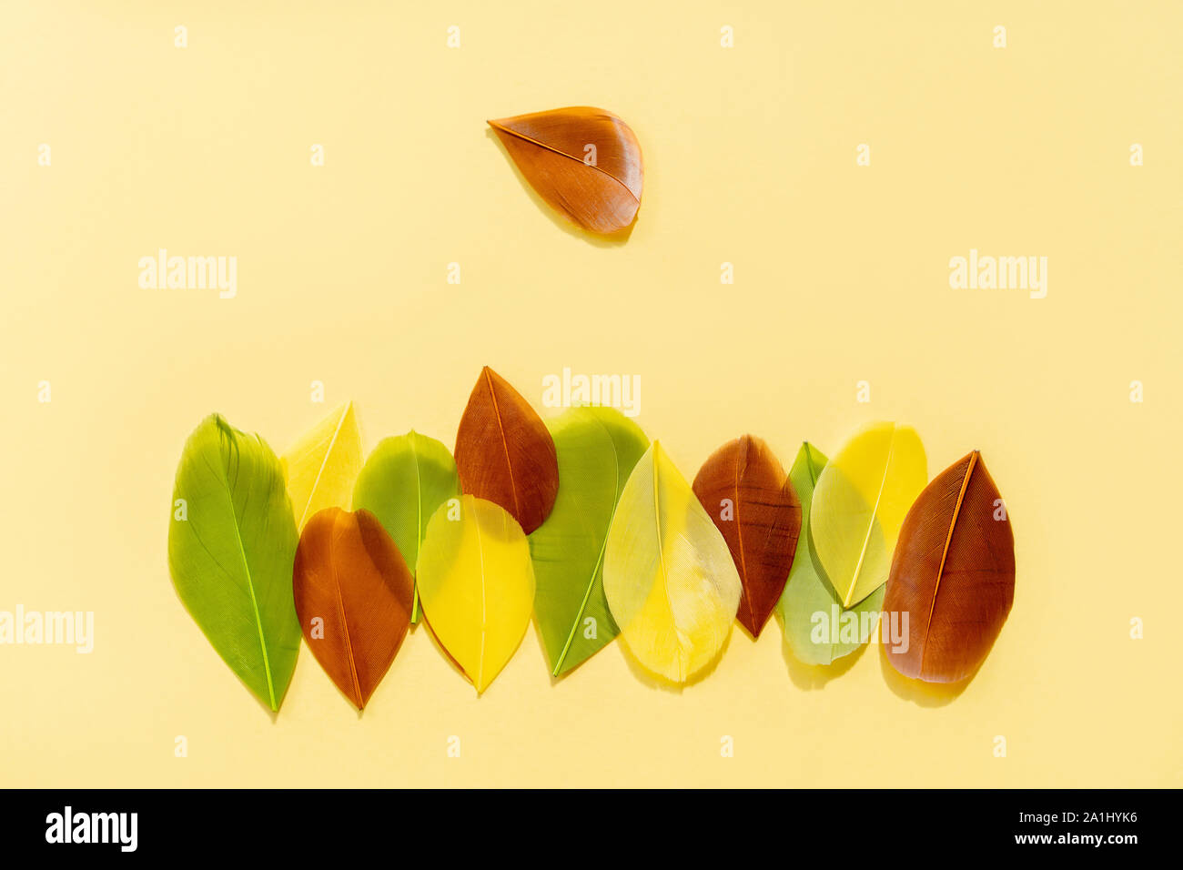 Bunt bemalte Federn sind in einer Reihe auf dem gelben Hintergrund Stockfoto