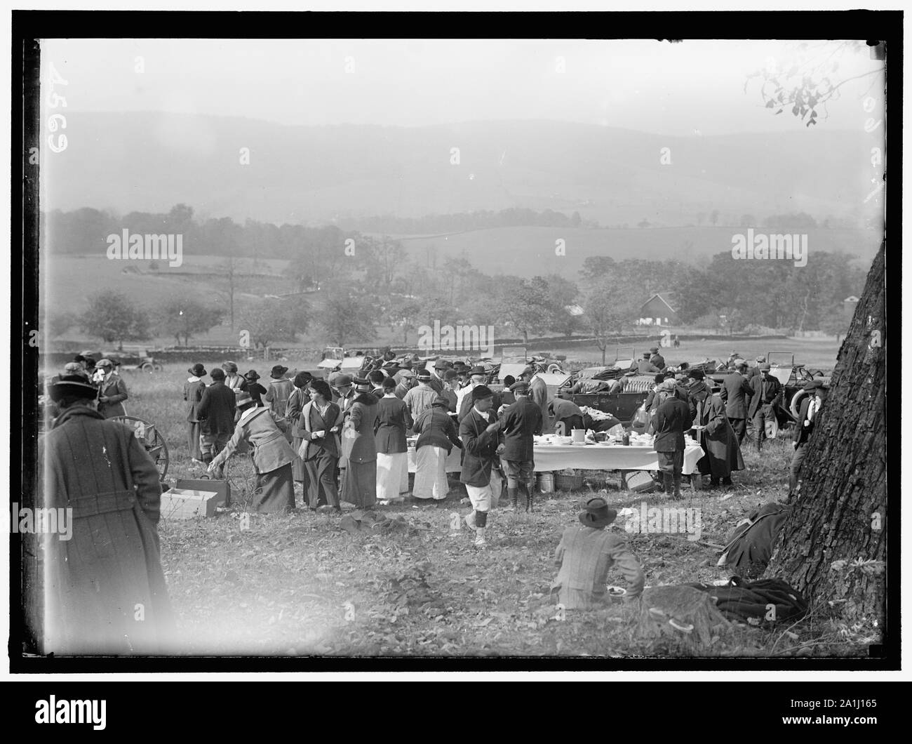 Nationale BEAGLE CLUB VON AMERIKA. Mittagessen auf der Bergseite Stockfoto