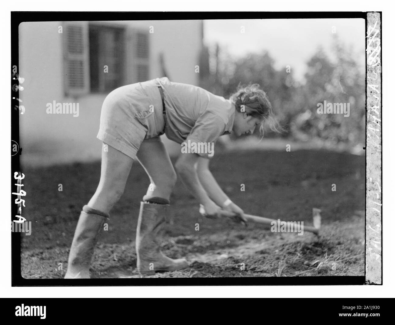 Nahalal. Landwirtschaftliche Schule für Mädchen. Die Sämlinge. Mädchen arbeiten in den Bereichen Stockfoto