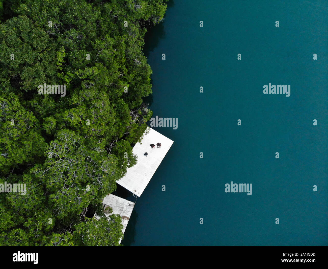 Paradies auf einer Insel mit Blick auf das türkisfarbene Wasser Stockfoto