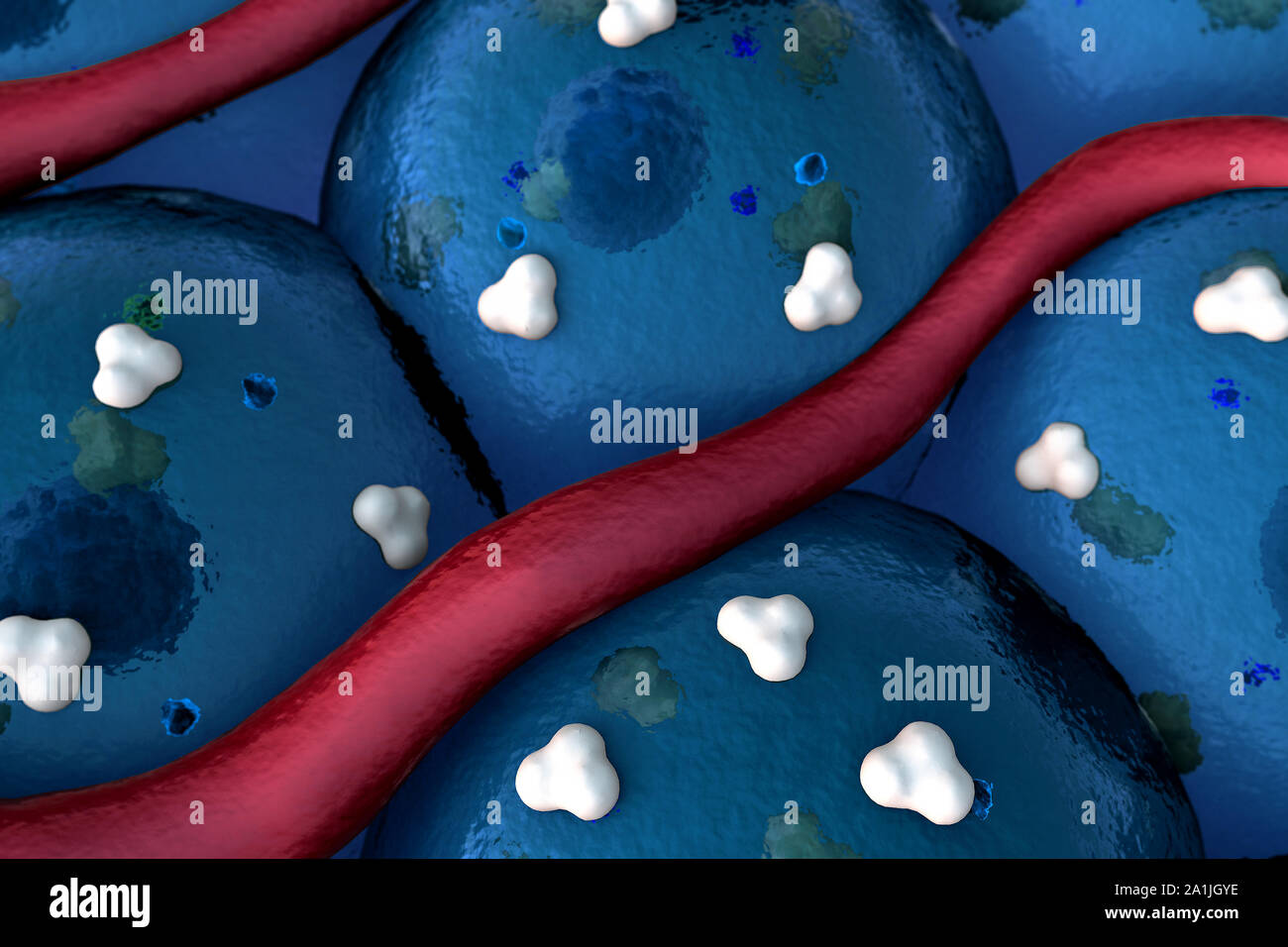 Protein auf der Oberfläche der Zellen, Rezeptoren und Vene auf die Zellen Oberfläche Stockfoto