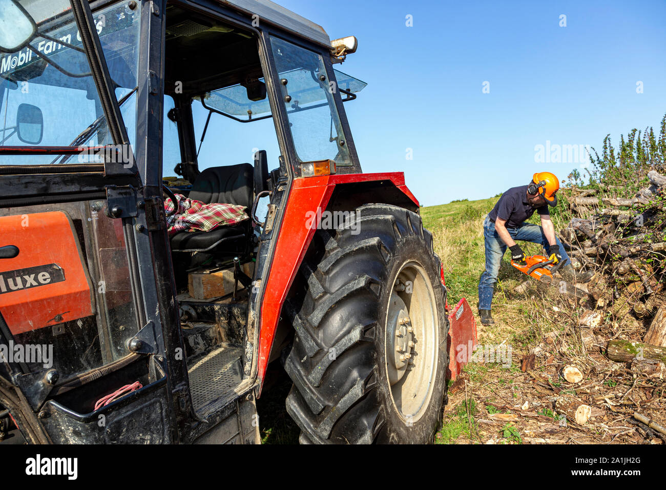Aktive Senioren Fotos, Fotos, Fotos, Fotos nur für Erwachsene, Herbst Fotos, Blade Fotos, kaukasische Ethnie Fotos, Kettensäge, Fotos, Co Stockfoto