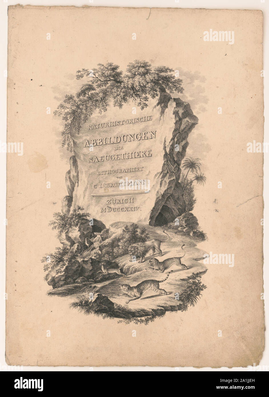 Naturhistorische Abbildungen der saeugethiere Stockfoto