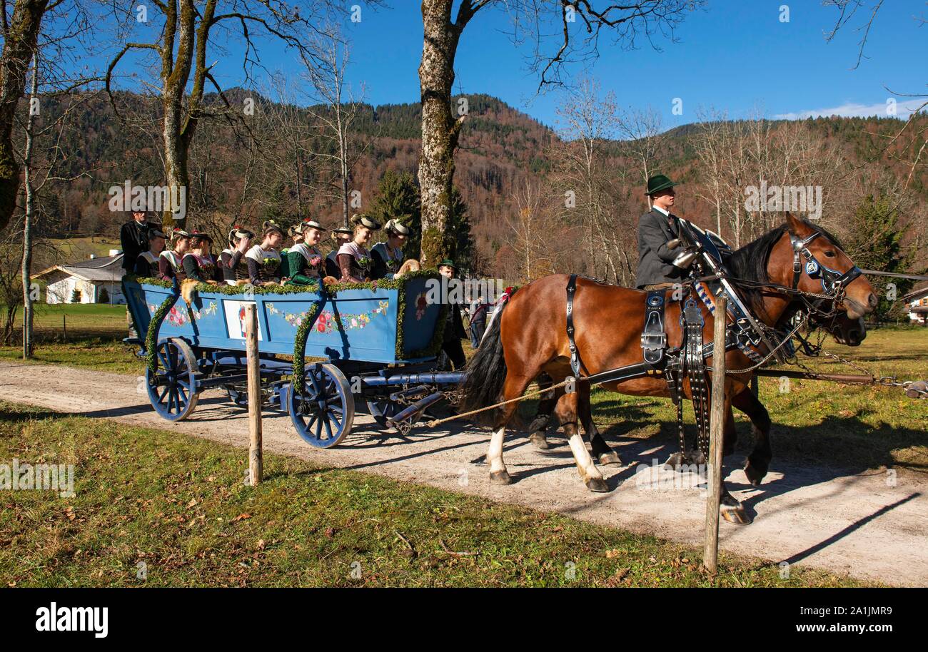 Beförderung an Leonhardi Fahrt in Kreuth, Tegernseer Tal, Oberbayern, Bayern, Deutschland Stockfoto