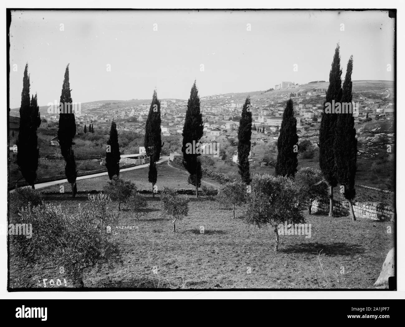 Nazareth. Blick durch Cypress Grove Stockfoto