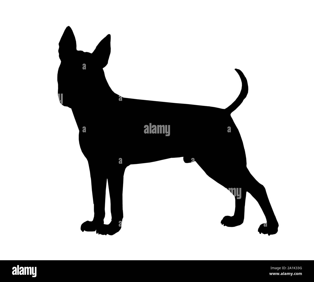 Lustige Bull Terrier Silhouette. Mein Hund Abbildung. Stockfoto