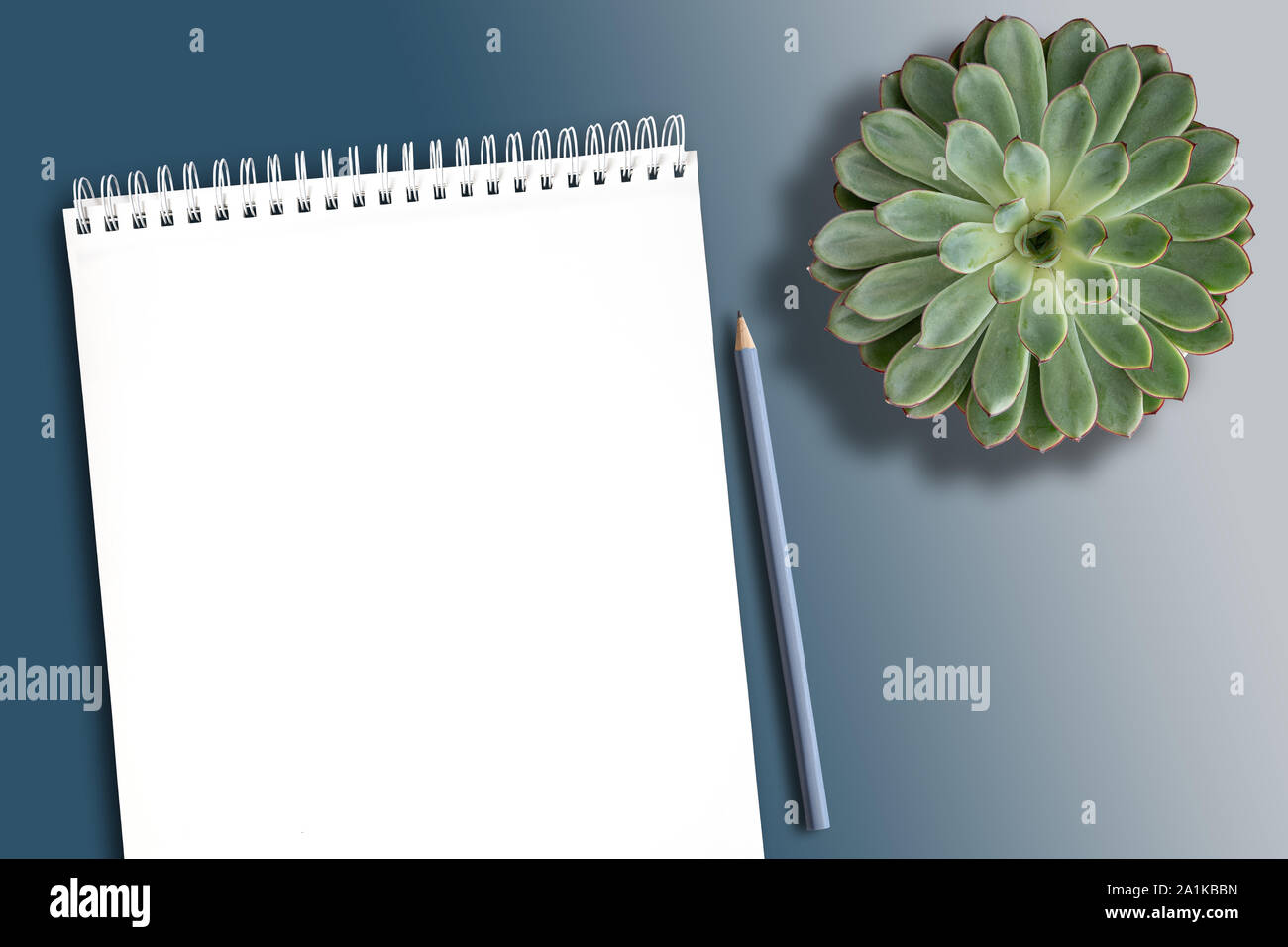 Blick von oben auf die leere weiße Spirale notebook auf sauberen Schreibtisch mit Topfpflanzen sukkulente Pflanze und Bleistift Stockfoto