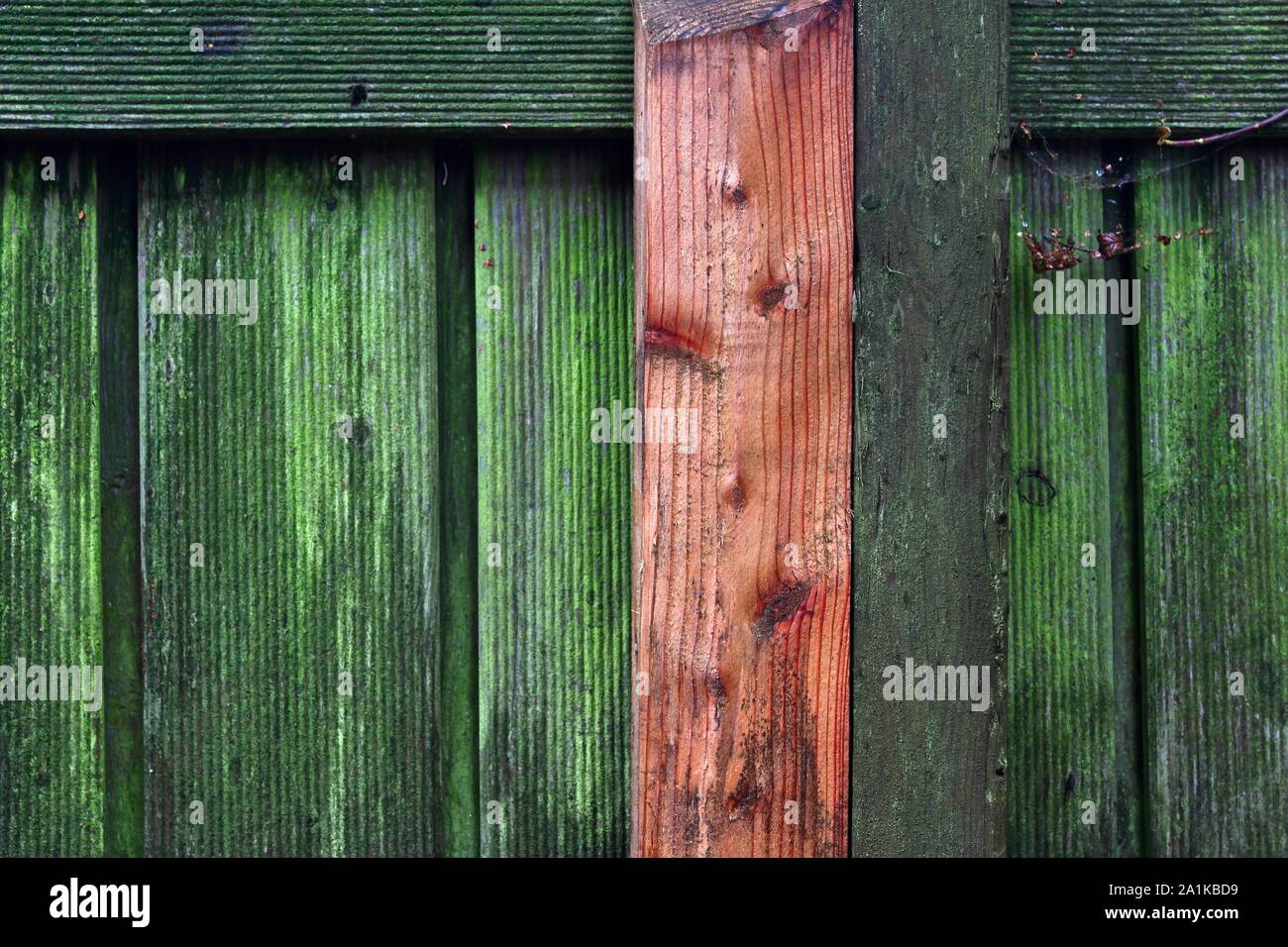 Ein altes und ein frisches Holz Balken stehen nebeneinander in einem hölzernen Zaun Stockfoto