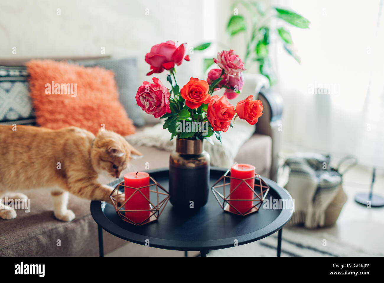 Innenraum der Wohnzimmer mit Blumen am Kaffeetisch und Katze Wandern auf der Couch und Spielen eingerichtet. Frische Rosen Stockfoto
