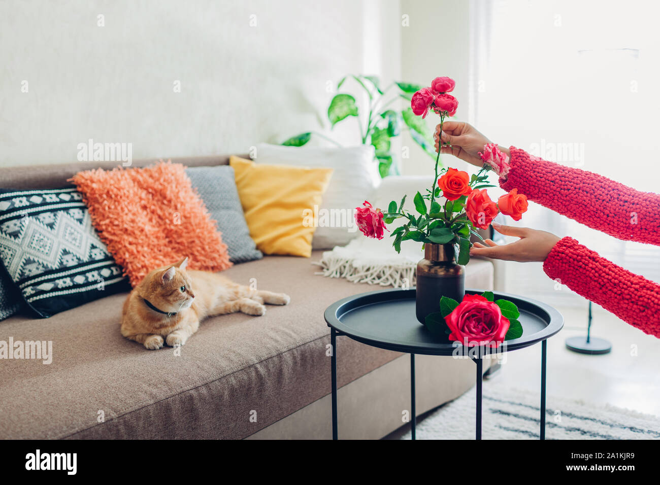 Frau legt Blumen Rosen in der Vase auf dem Tisch. Hausfrau kümmert sich um die Gemütlichkeit in der Wohnung. Interieur und Dekor Stockfoto