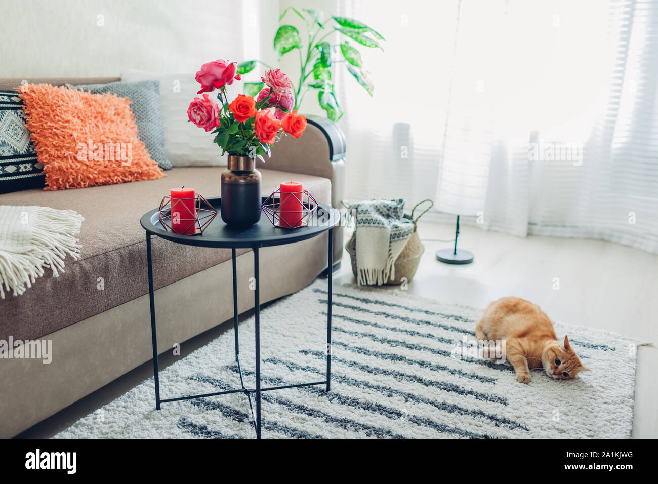 Innenraum der Wohnzimmer mit Blumen am Kaffeetisch und Katze liegend auf dem Teppich und Spielen eingerichtet. Frische Rosen Stockfoto