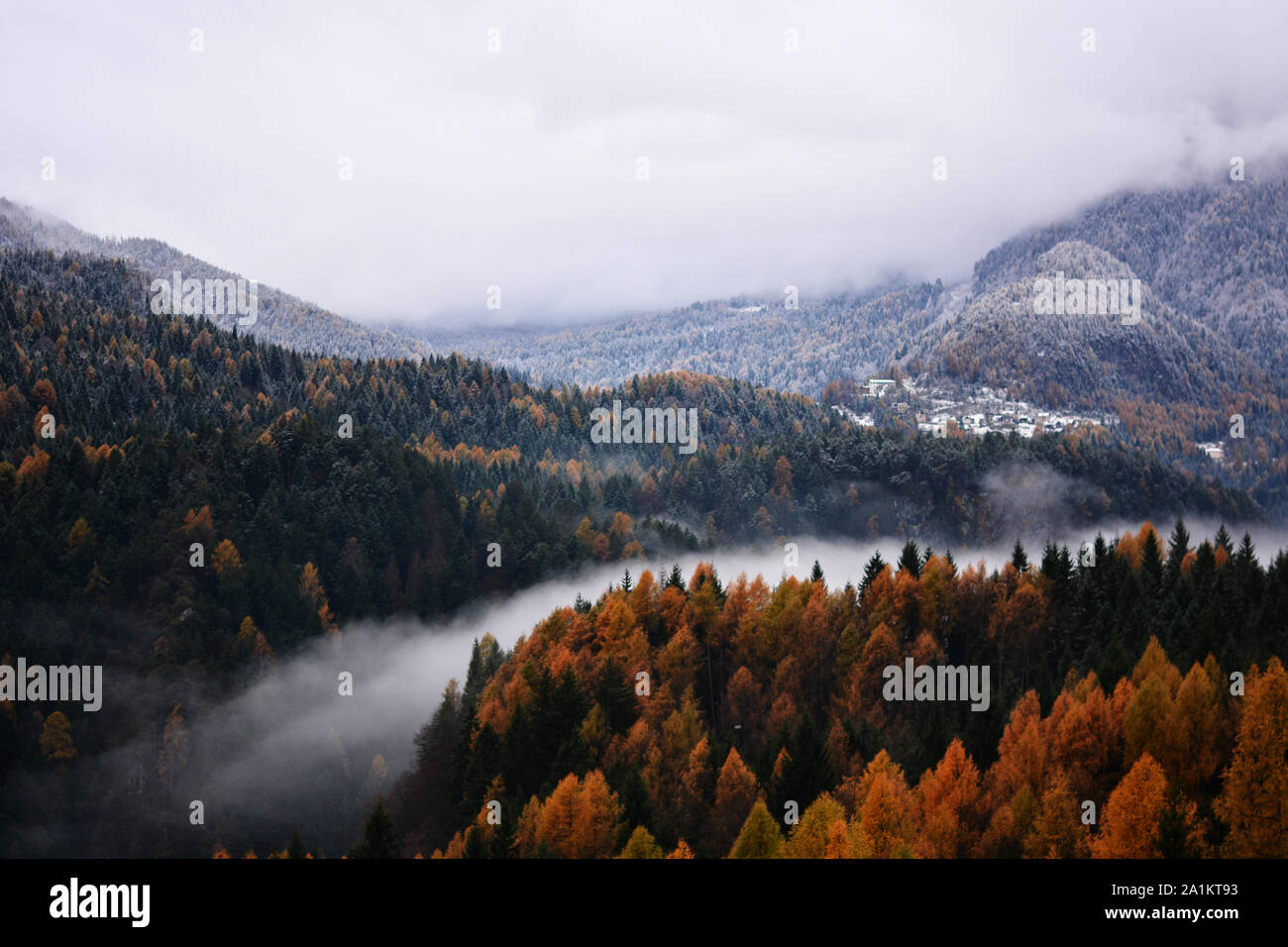 Der Nebel deckt den Fluss Stockfoto