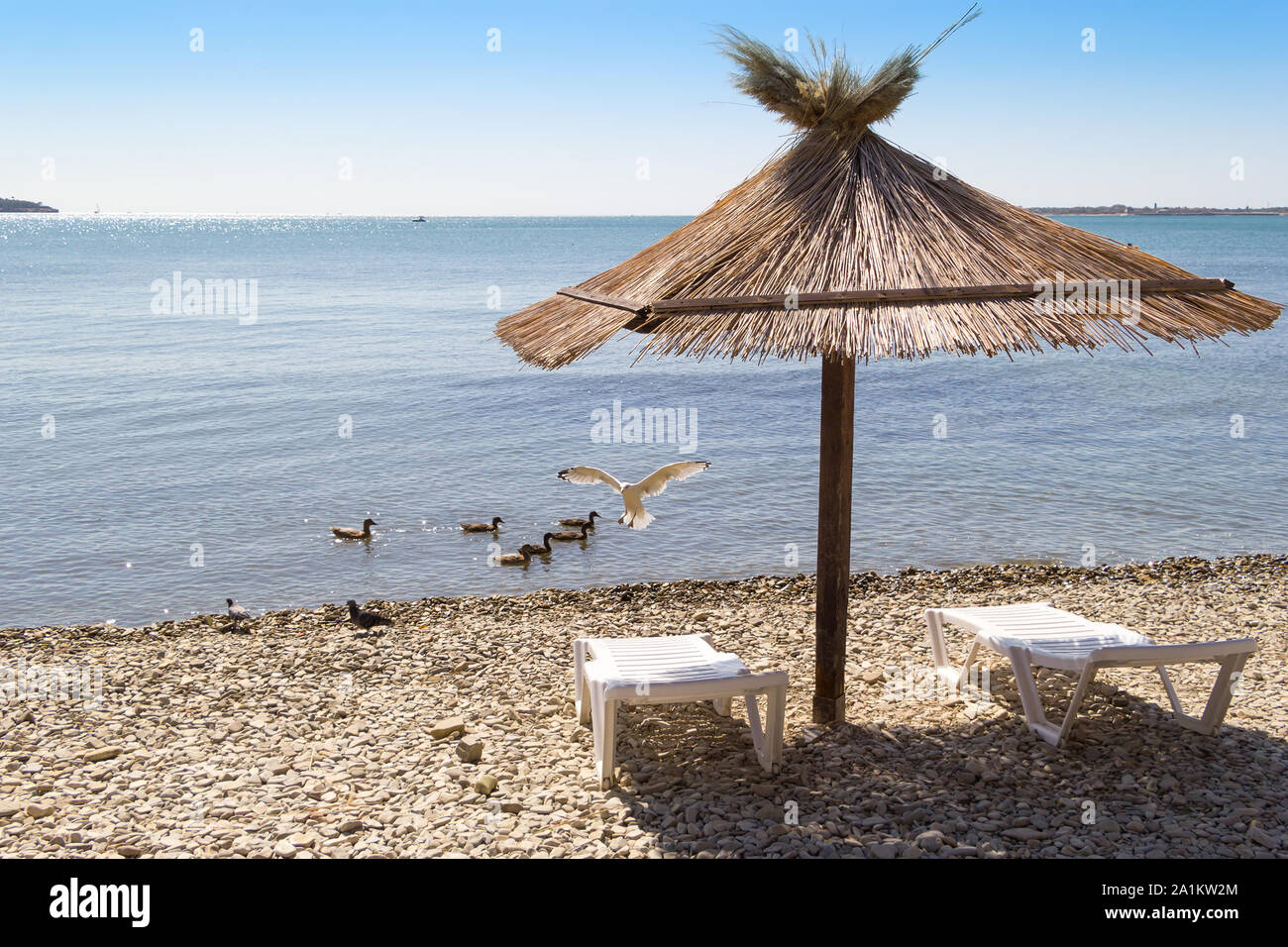 Einen Erholsamen Urlaub Am Meer Zwei Liegestuhle Und Sonnenschirm Am Strand Kieselsteine Unter Ihren Fussen Mowen Tauben Und Enten Im Rahmen Stockfotografie Alamy