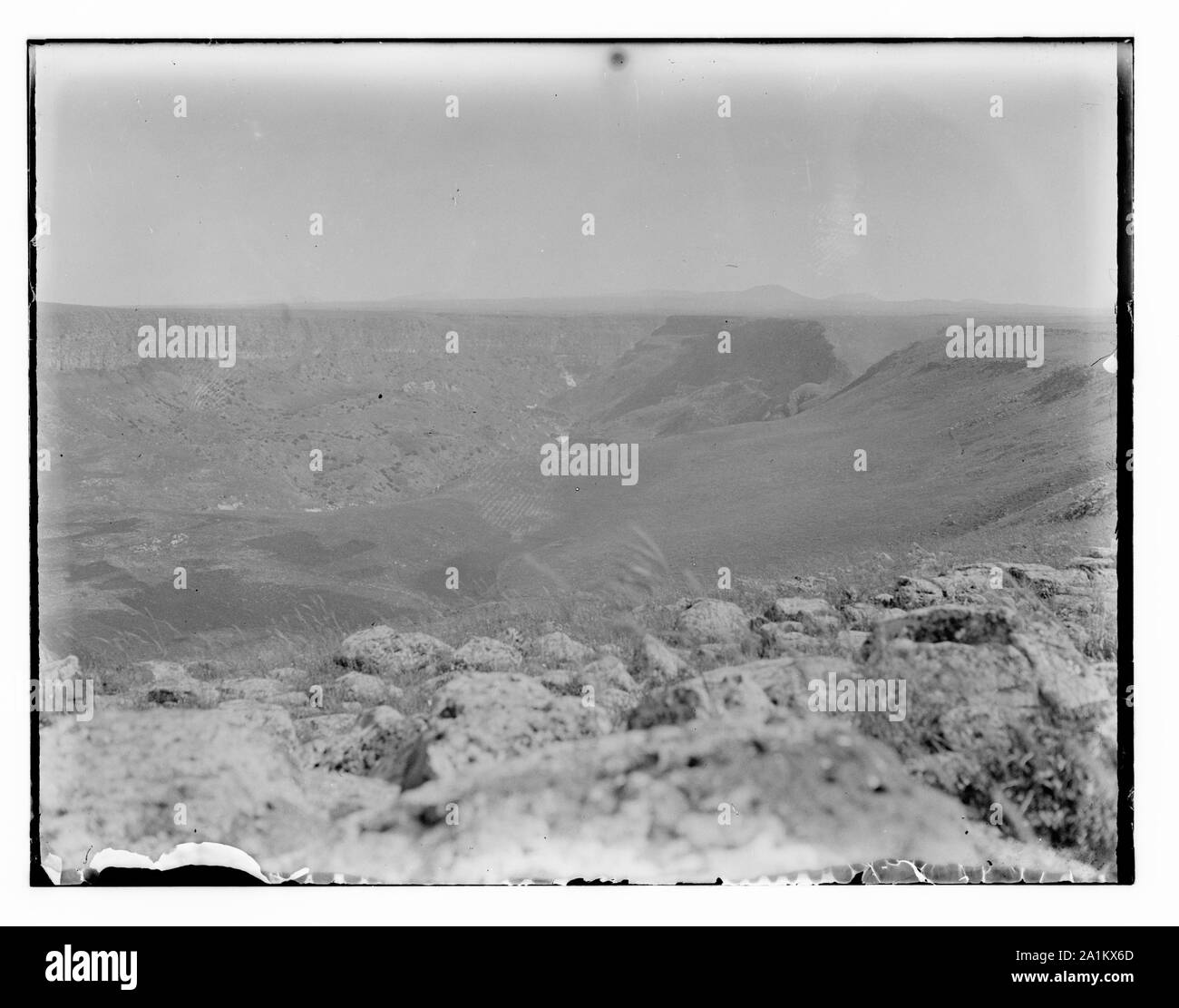 Norden Palästina botanische Reise vor 1917 Stockfoto