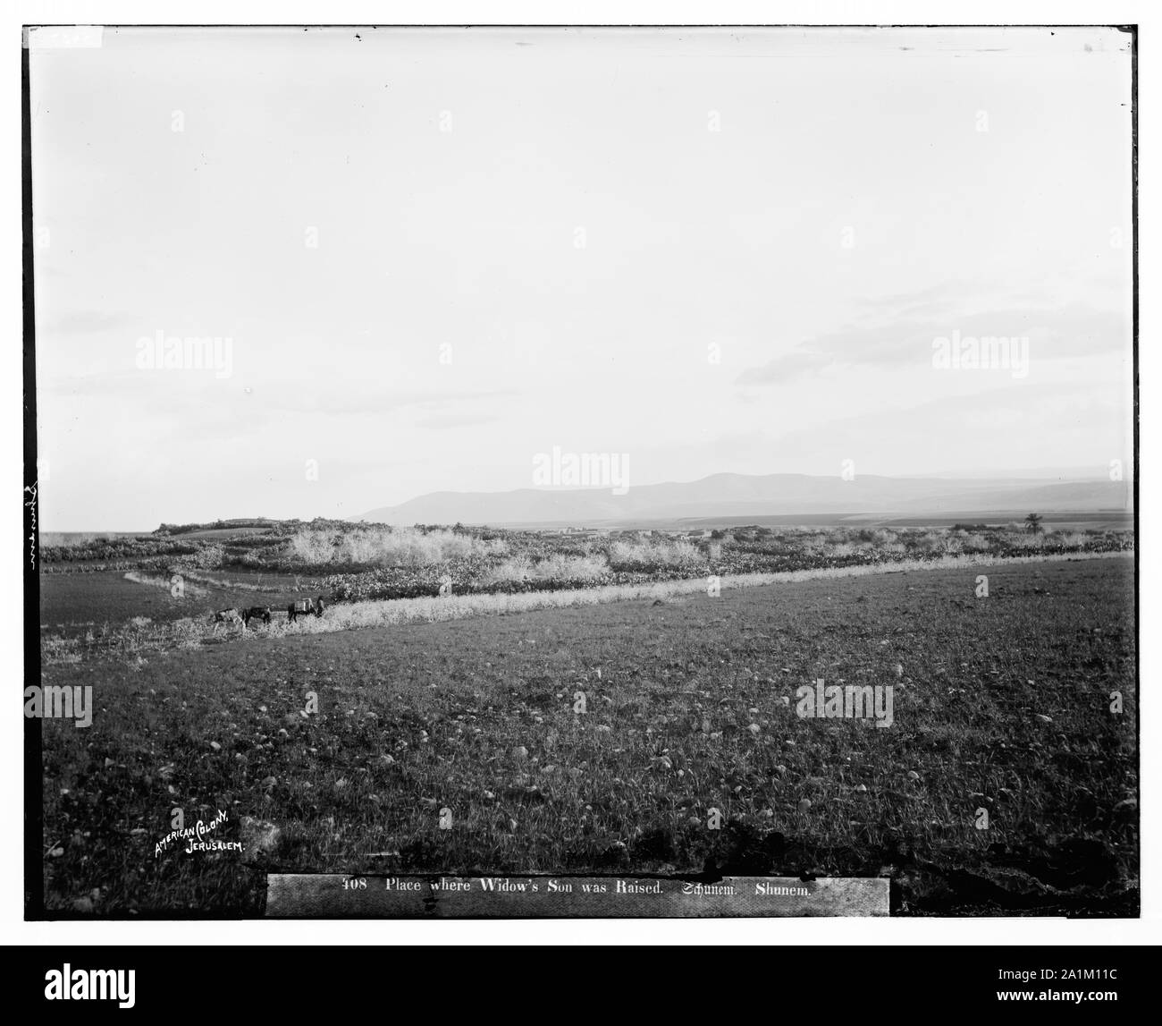 Nördliche Aussicht. Schunem (Sulem) und Mts. [D. h., Berge] von Gilboa Stockfoto