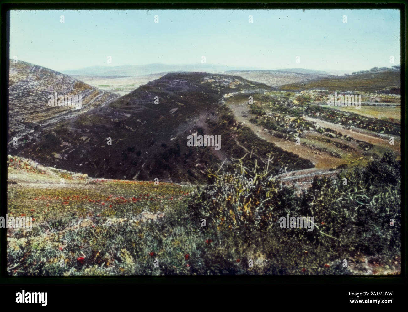 Gegen Mitternacht aus Jerusalem. Hügel von Tibna, Schleusegrund. Gen. 38:12-14, Josh. 15:57 Stockfoto