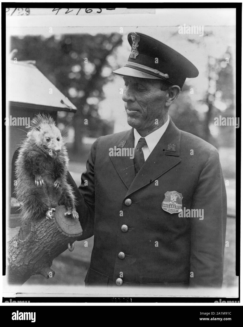 Officer Snodgrass des Weißen Hauses Polizei mit die neueste Ergänzung der Hoover Haustiere - ein Possum [sic], die vor kurzem in das Weiße Haus Grundstück verirrt hatte. Stockfoto
