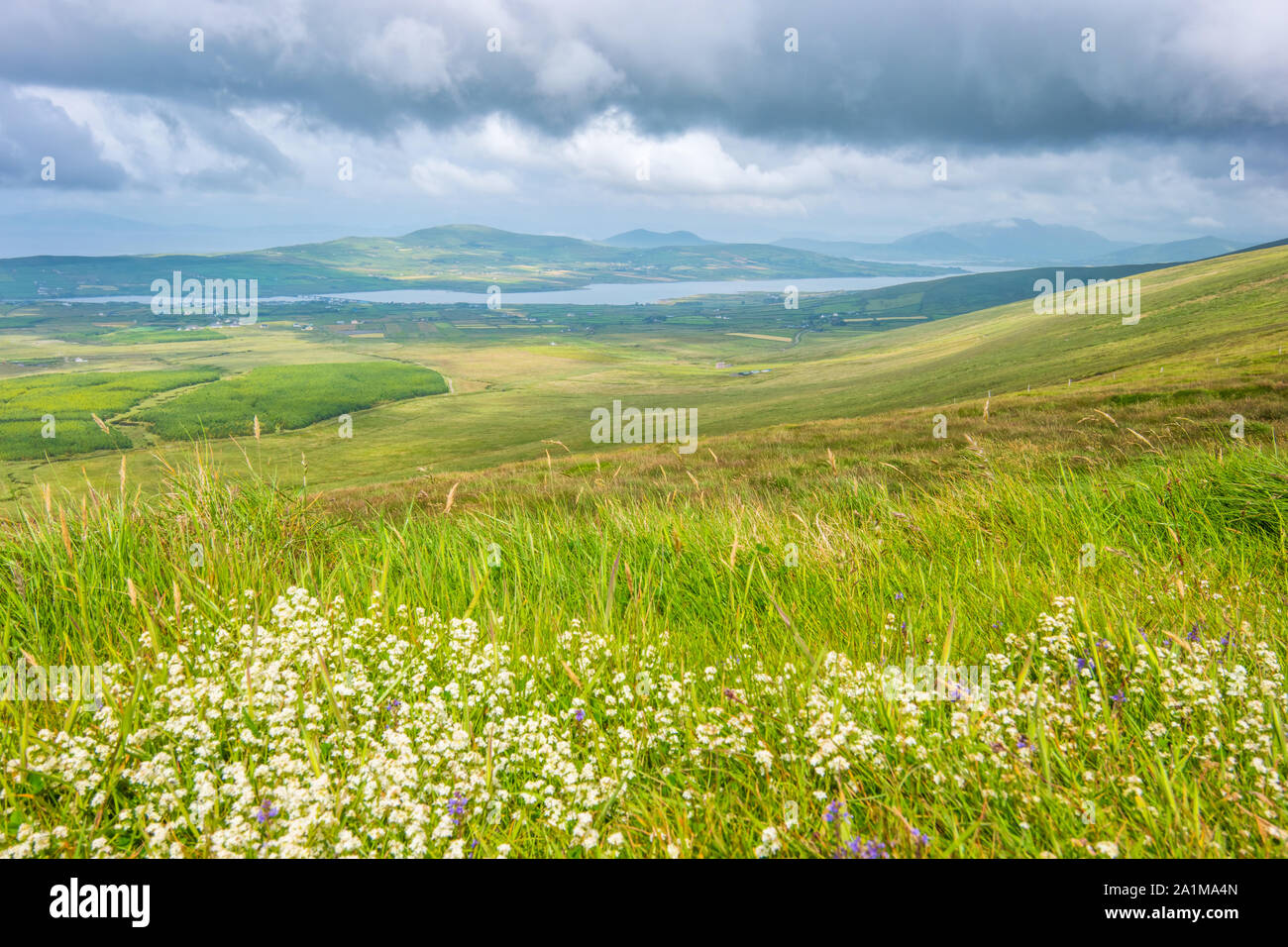 Hügel rund um Portmagee, entlang des Ring of Kerry Irland. Stockfoto