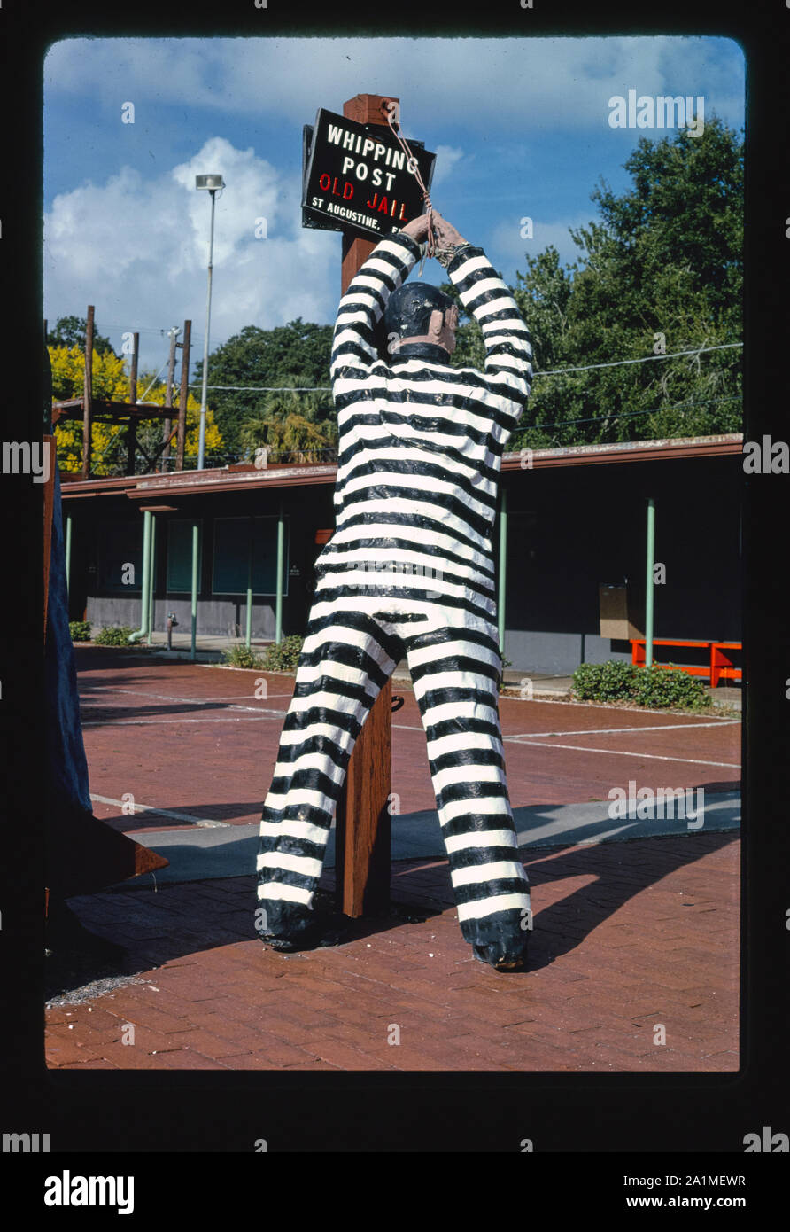 Altes Gefängnis Geißelsäule, St. Augustine, Florida Stockfoto