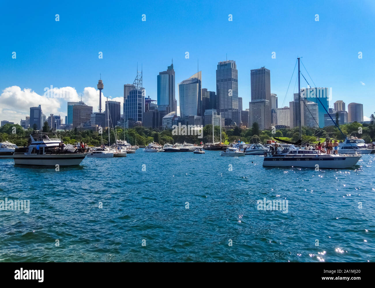 Die Menschen genießen Urlaub auf Motorbooten auf den Hafen von Sydney in Sydney, Australien, an einem sonnigen Tag. Stockfoto
