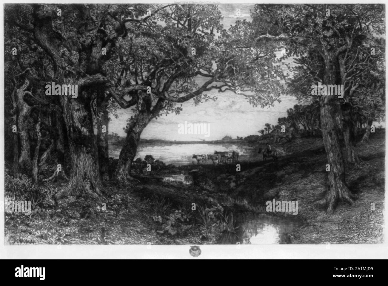 Alten Eichen]/MN Moran Stockfoto