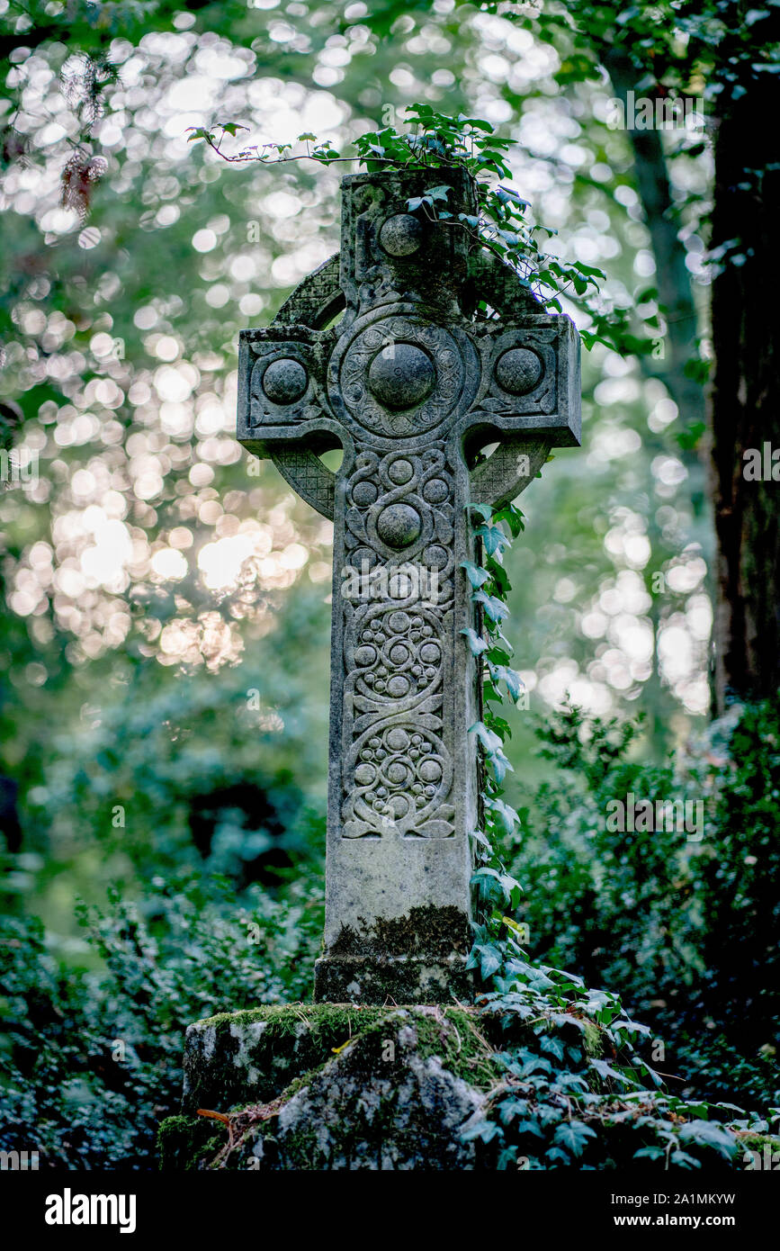 Keltisches Steinkreuz Denkmal mit Ivy auf dem Friedhof in einem Wald bedeckt Stockfoto
