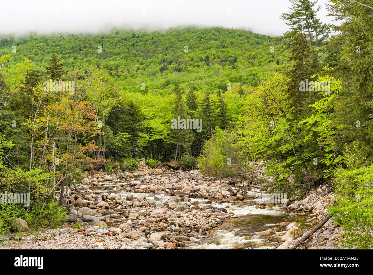 Sawyer Fluss im Frühjahr, White Mountain National Forest, Carroll Co, NH Stockfoto