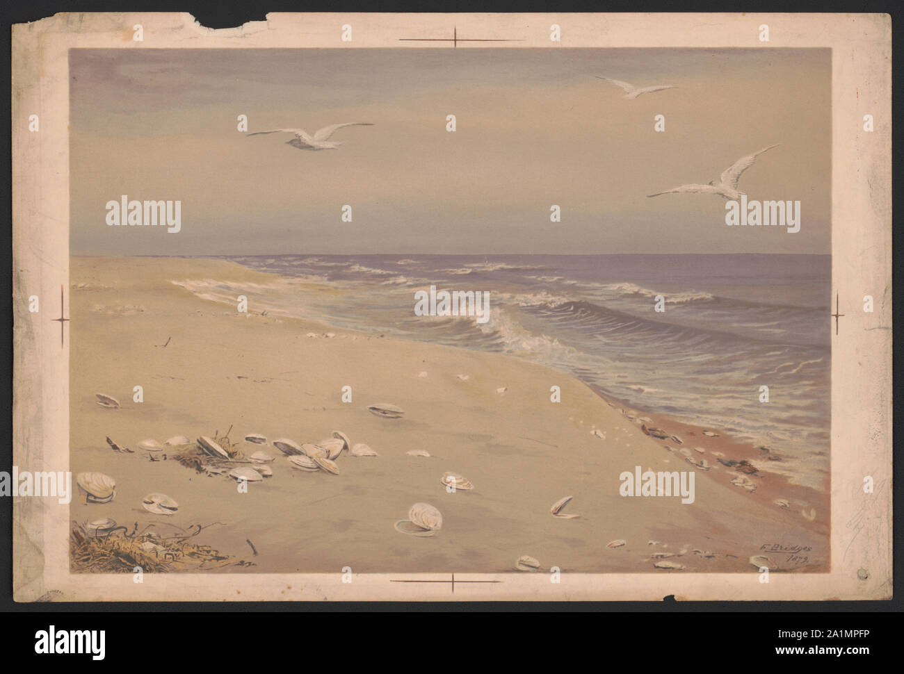 Am Strand/F. Brücken 1879; nach Miss F. Brücken, Original im Besitz der Verlage. Stockfoto
