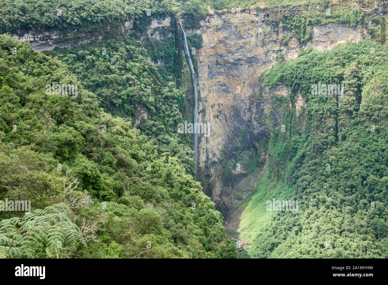 Die erstaunliche Gocta fällt im Nebelwald von Chachapoyas, Amazonas, Peru Stockfoto