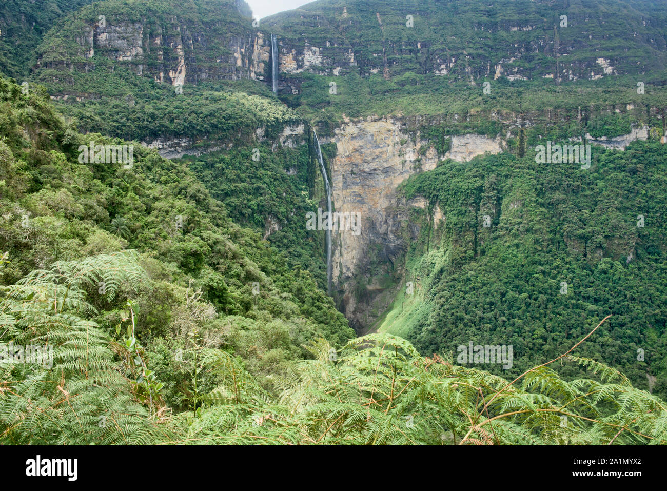 Die erstaunliche Gocta fällt im Nebelwald von Chachapoyas, Amazonas, Peru Stockfoto