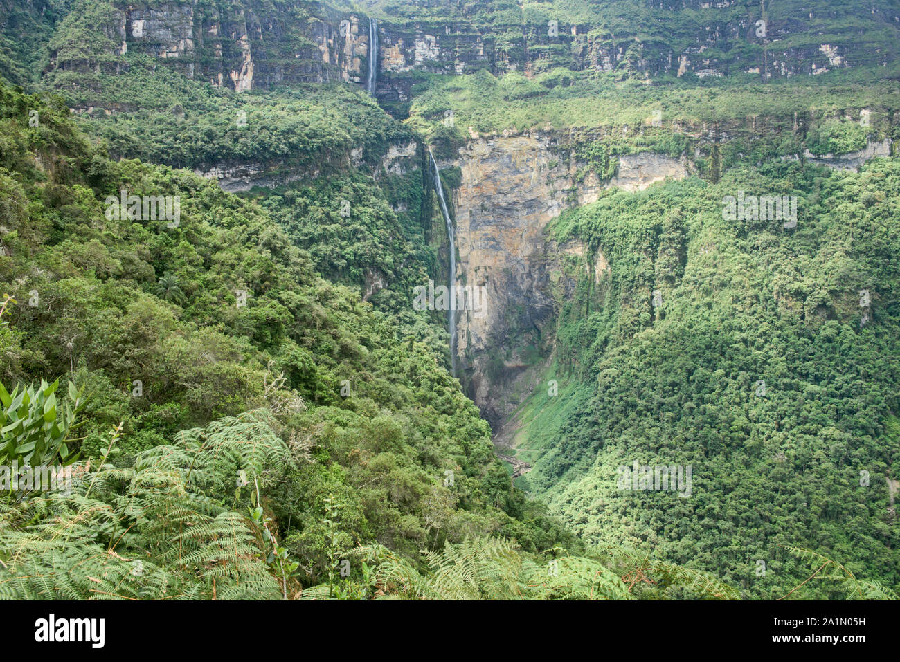 Die erstaunliche Gocta fällt im Nebelwald von Chachapoyas, Amazonas, Peru Stockfoto