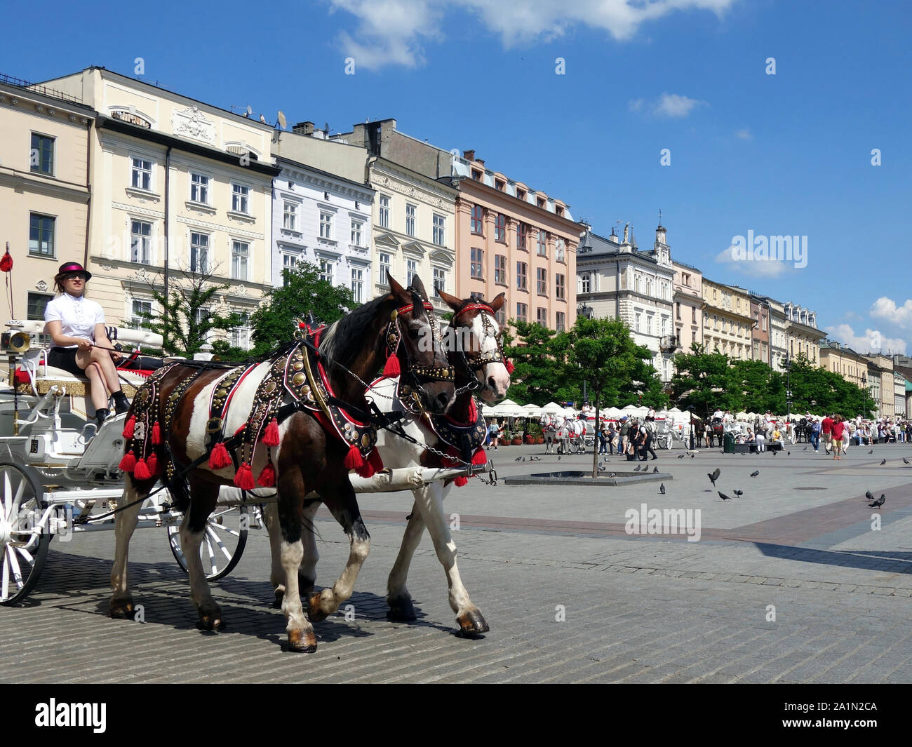 Ein paar Pferde ziehen eine touristische Beförderung auf dem Marktplatz in Krakau. Stockfoto