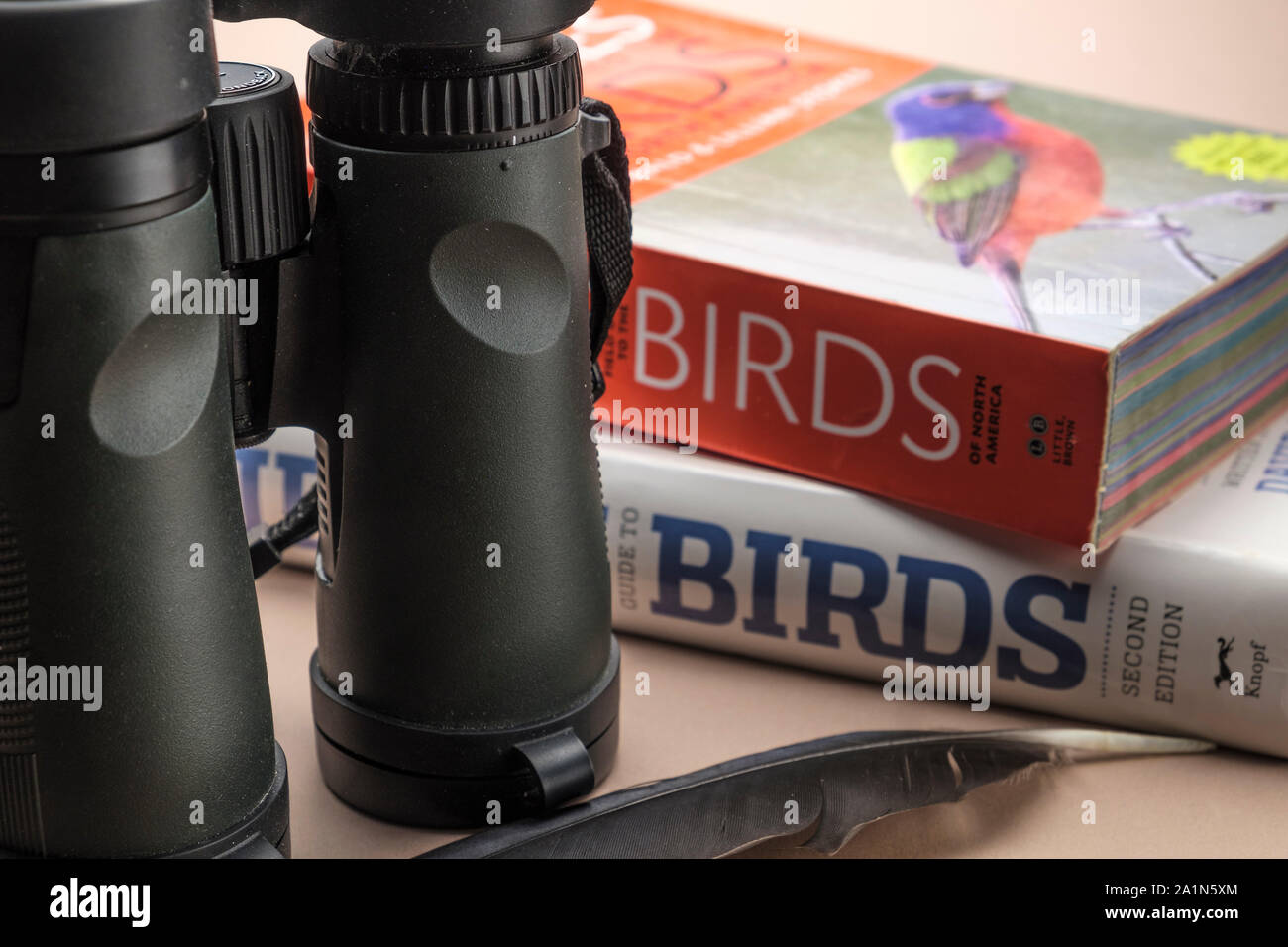 Unverzichtbare Ausrüstung und Ausrüstung zur Vogelbeobachtung für Vogelbeobachter. Zwei Ferngläser und Vogelarten, Identifizierung von Feldbüchern und Federbeinen Stockfoto