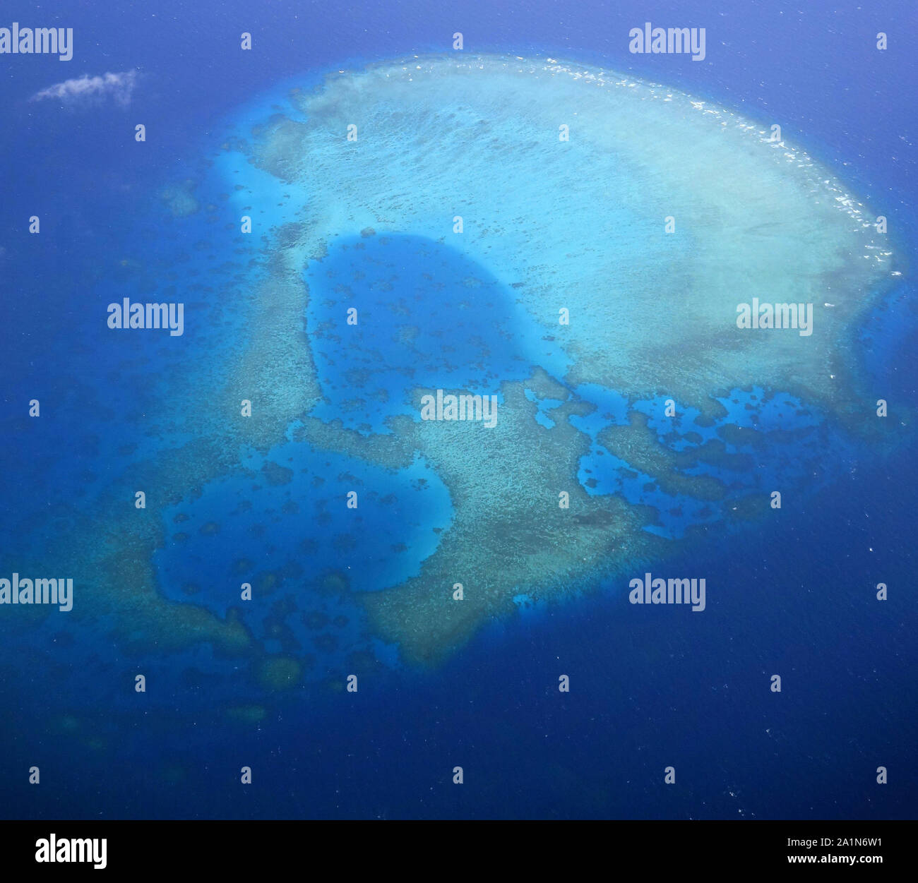 Patch Riff in der nördlichen Great Barrier Reef in der Nähe von Cooktown, Queensland, Australien Stockfoto