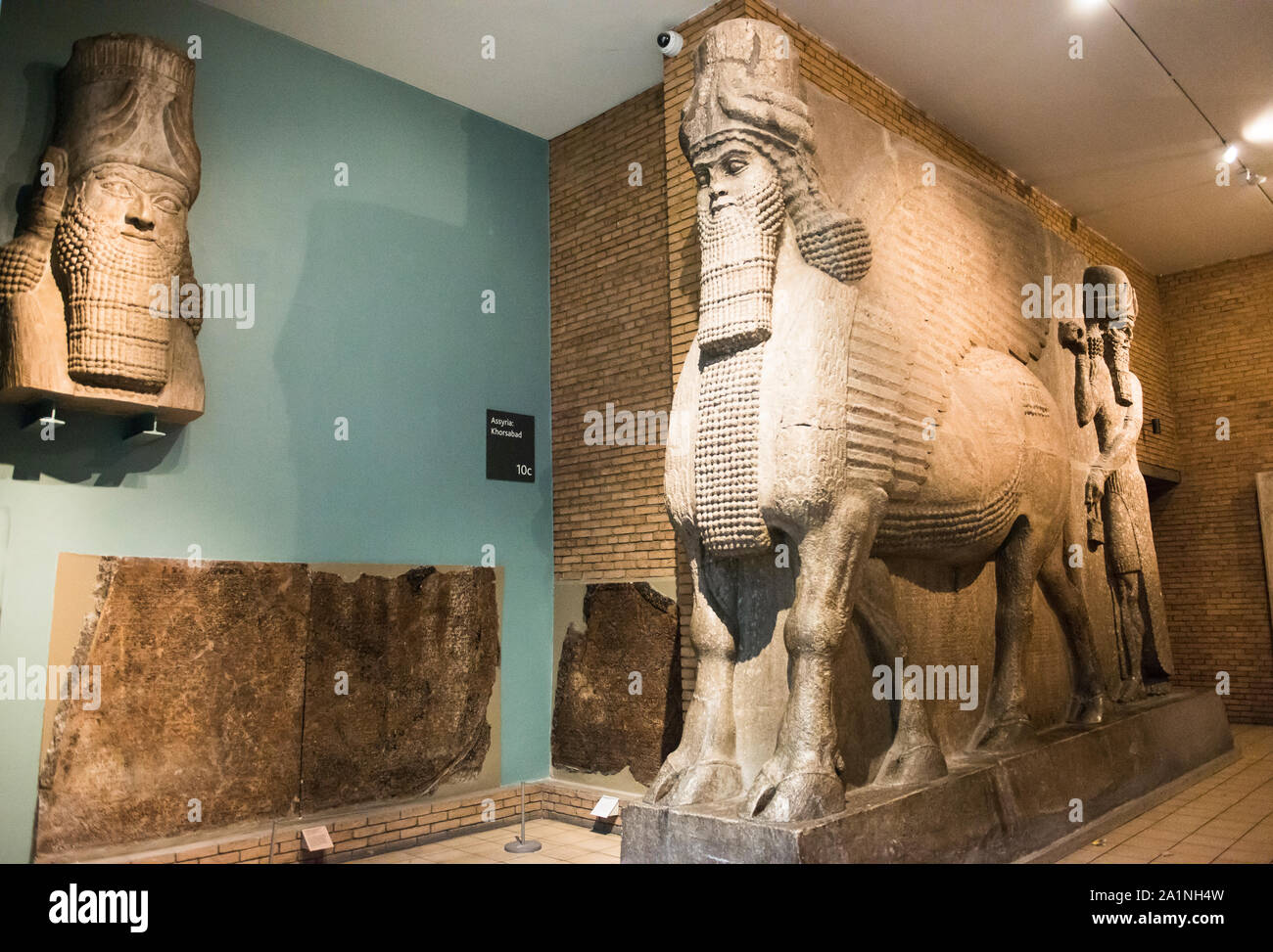 Kolossale assyrischen Stein Skulptur eines menschlichen - vorangegangen geflügelten Stier vom Palast von Khorsabad. British Museum Zimmer 10, Assyrien. Sargon II city Gates. Stockfoto