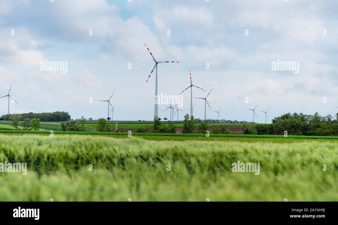 Wind Turbine auf die grünen Felder im Sommer. Natürliche Windkraftanlagen und nachhaltige umweltfreundliche Energieressourcen Stockfoto