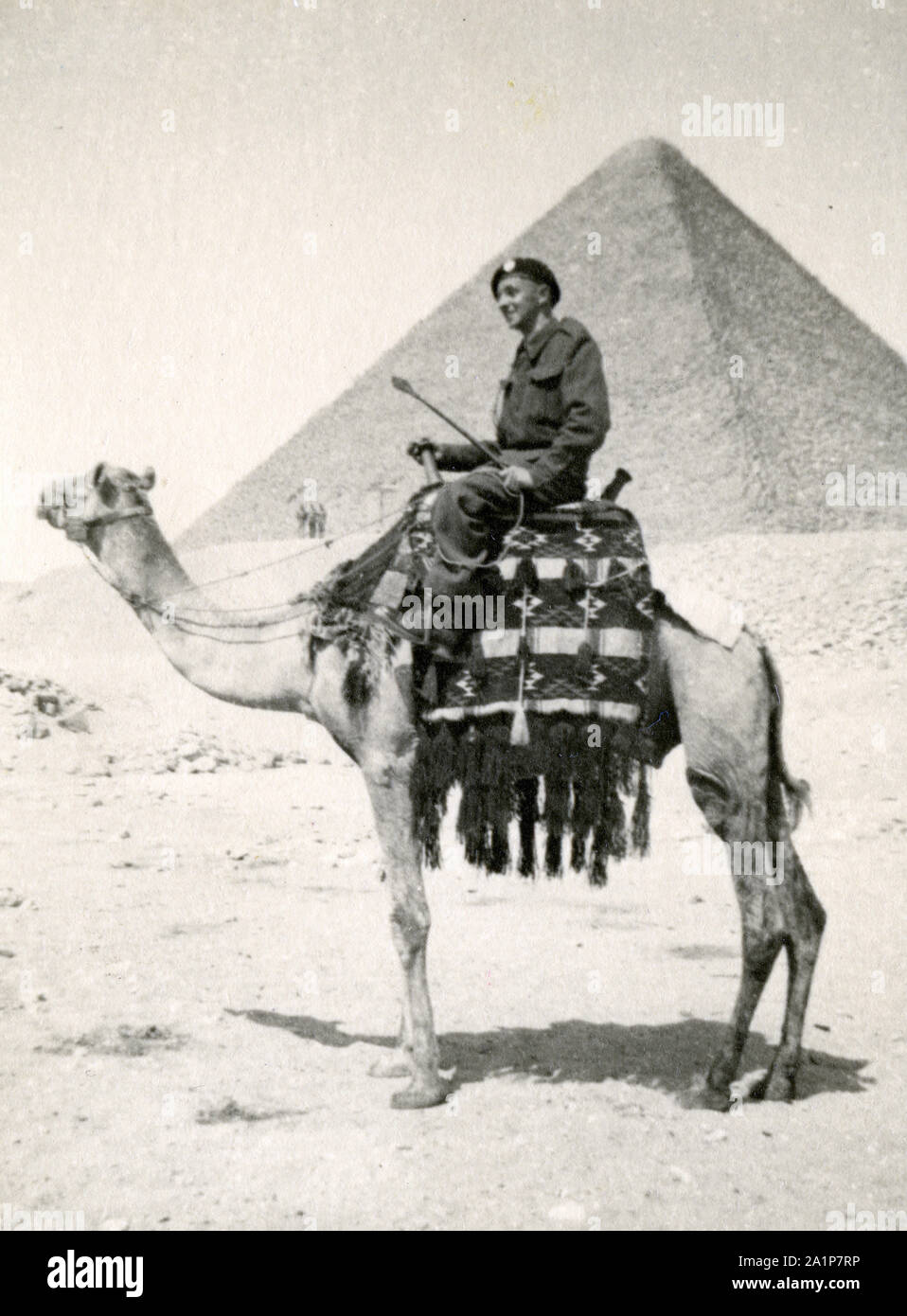 Fotos, die während des 2. Weltkrieges von britischen Soldaten des Royal Tank Regiment während der Nordafrika-Kampagne aufgenommen wurden. Soldat auf einem Kamel vor der Pyramide. Trooper C M Shoults Stockfoto