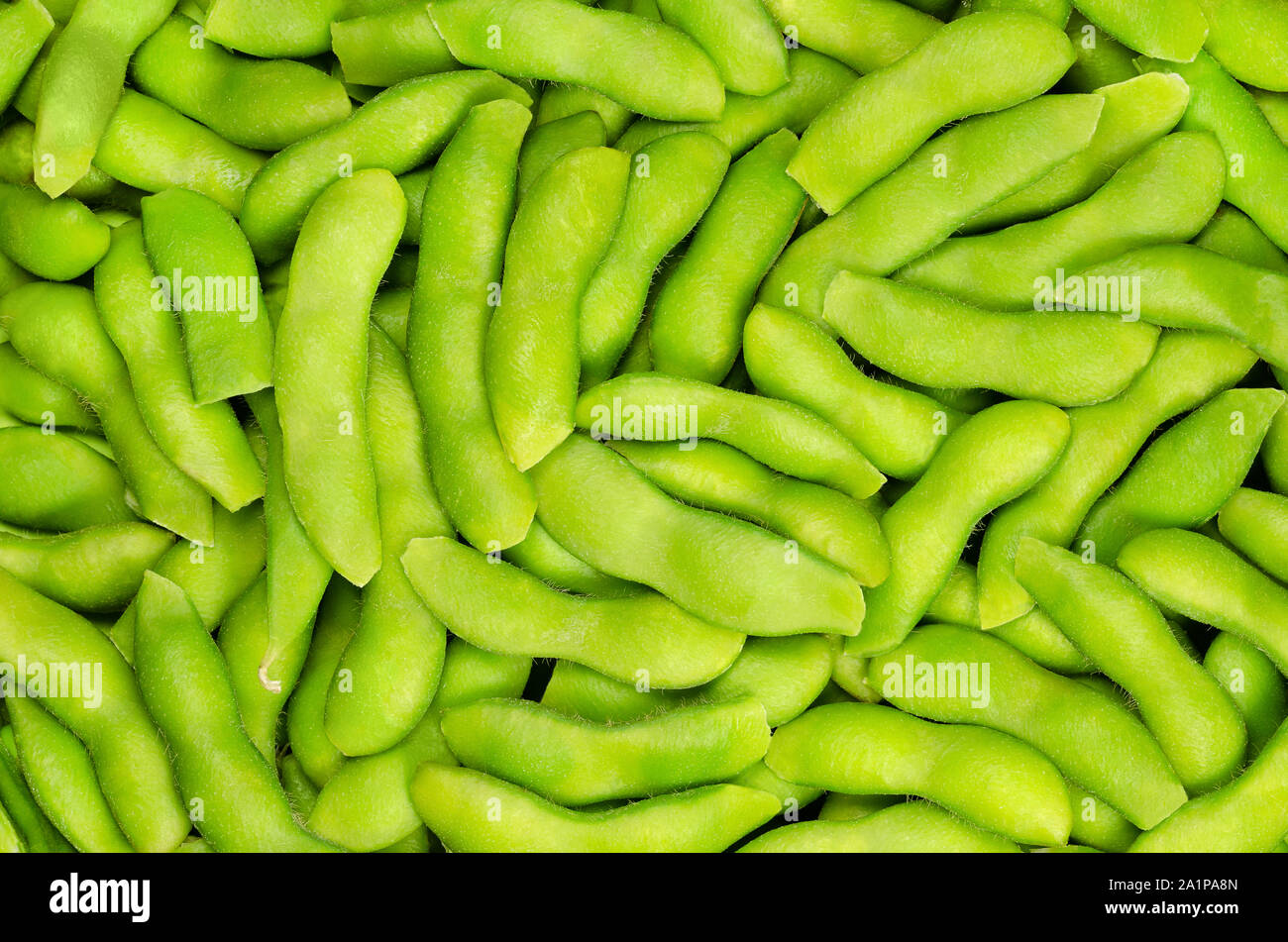 Edamame, grüne Sojabohnen in den Pod, Hintergrund. Unreife Sojabohnen, auch Maodou. Glycine max, ein Legumen, essbare nach dem Kochen und eine reiche Proteinquelle. Stockfoto