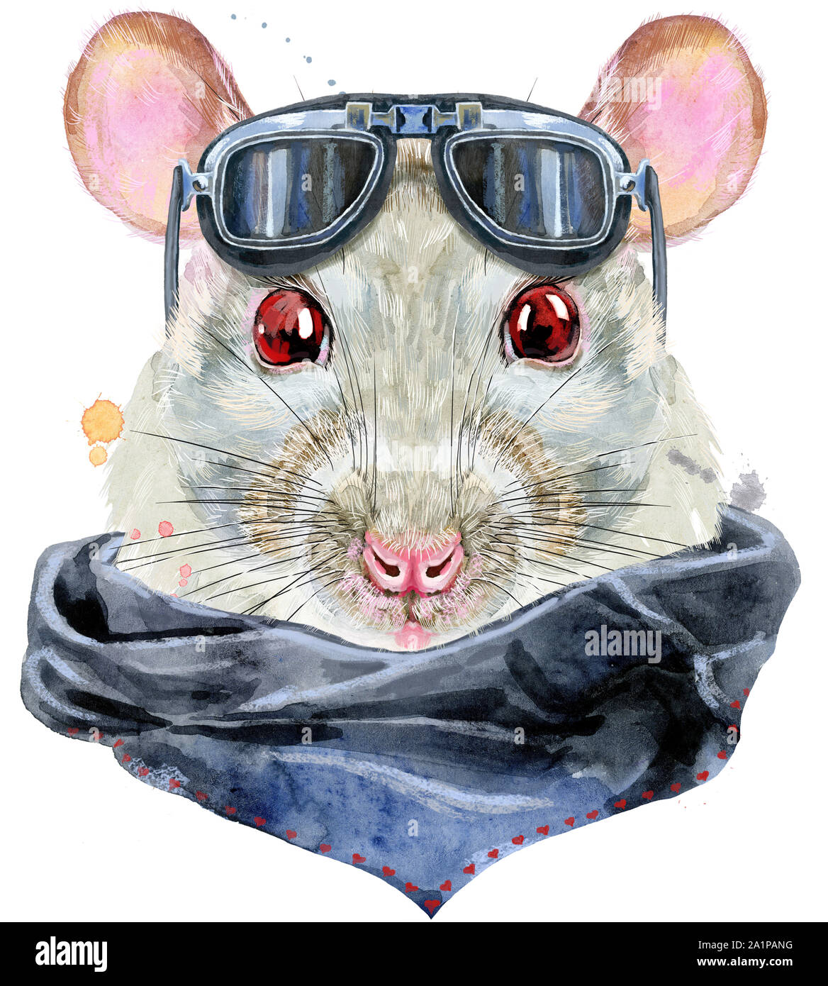 Aquarell Porträt der weißen Ratte mit biker Sonnenbrille und Spritzwasser Stockfoto