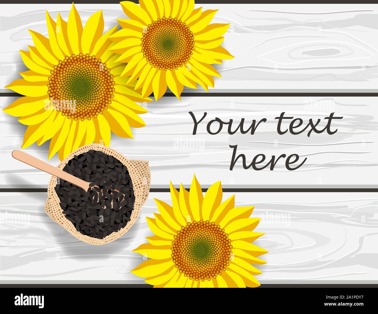 Vector Illustration von Sonnenblumen Blumen und Samen auf grau Holztisch, Platz für Text Stock Vektor