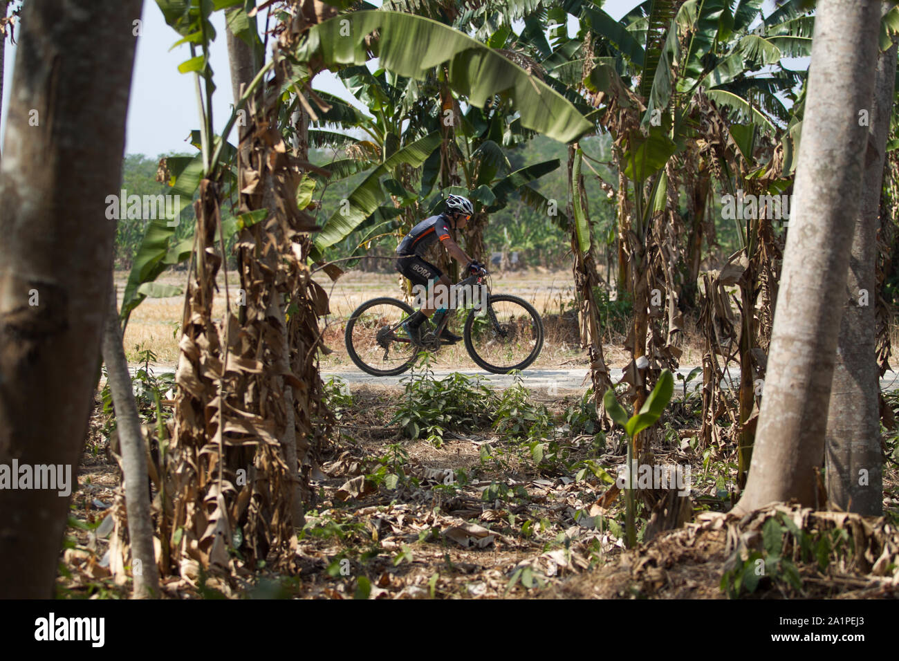 Ein Radfahrer in Aktion während der Rhino MTB XC (Mountainbike Cross Country) Marathon in Pandeglang. Stockfoto